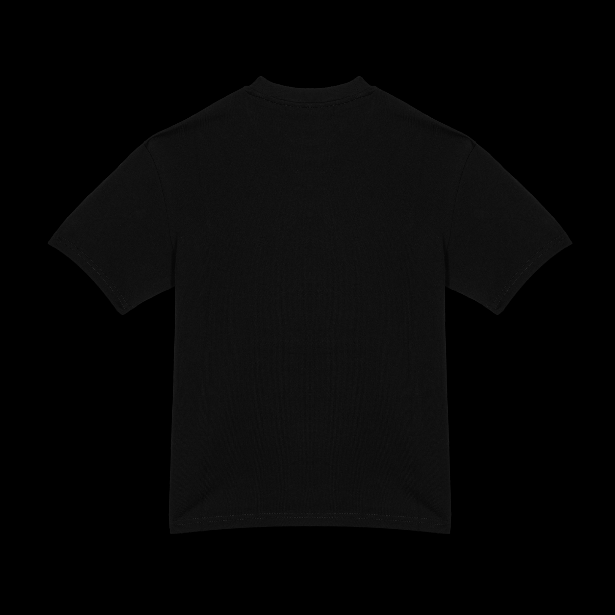 T-shirt Culture Vision - Noir